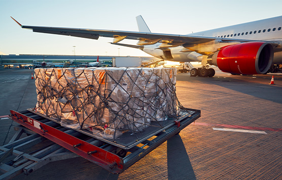  广州极点供应链的运输服务